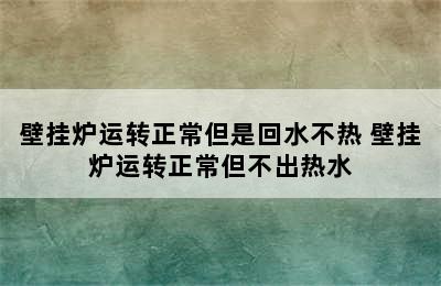 壁挂炉运转正常但是回水不热 壁挂炉运转正常但不出热水